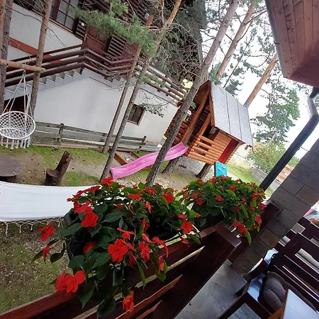 Mina Villa *